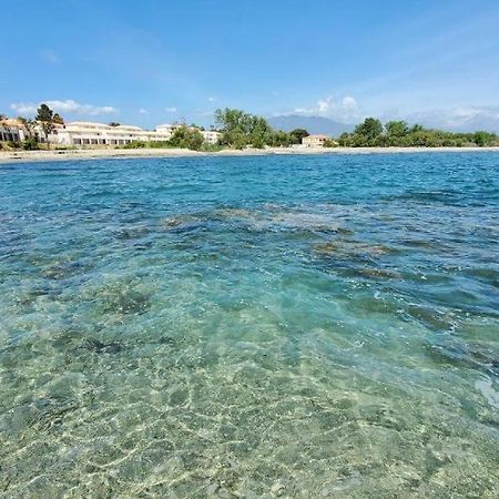 Marine De Bravone T2 Terrasse Front De Mer - Plage Pieds Dans L'Eau - Clim - Piscine - Wifi Linguizzetta Dış mekan fotoğraf