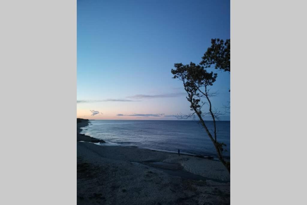 Marine De Bravone T2 Terrasse Front De Mer - Plage Pieds Dans L'Eau - Clim - Piscine - Wifi Linguizzetta Dış mekan fotoğraf