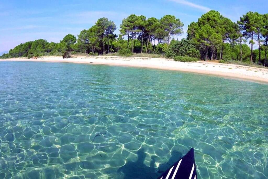 Marine De Bravone T2 Terrasse Front De Mer - Plage Pieds Dans L'Eau - Clim - Piscine - Wifi Linguizzetta Dış mekan fotoğraf