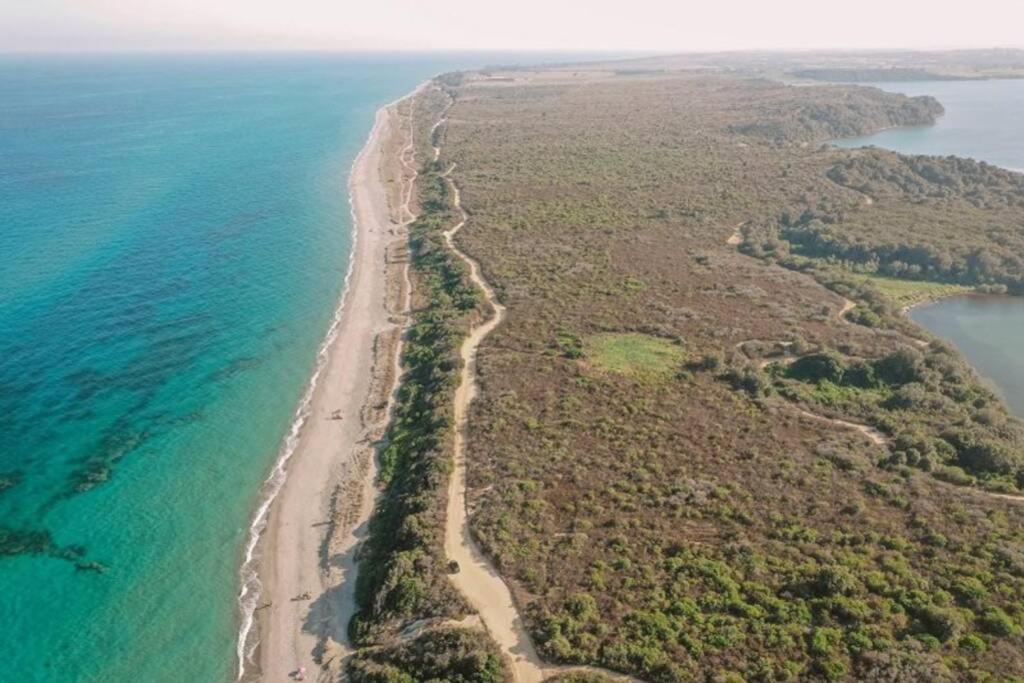 Marine De Bravone T2 Terrasse Front De Mer - Plage Pieds Dans L'Eau - Clim - Piscine - Wifi Linguizzetta Dış mekan fotoğraf
