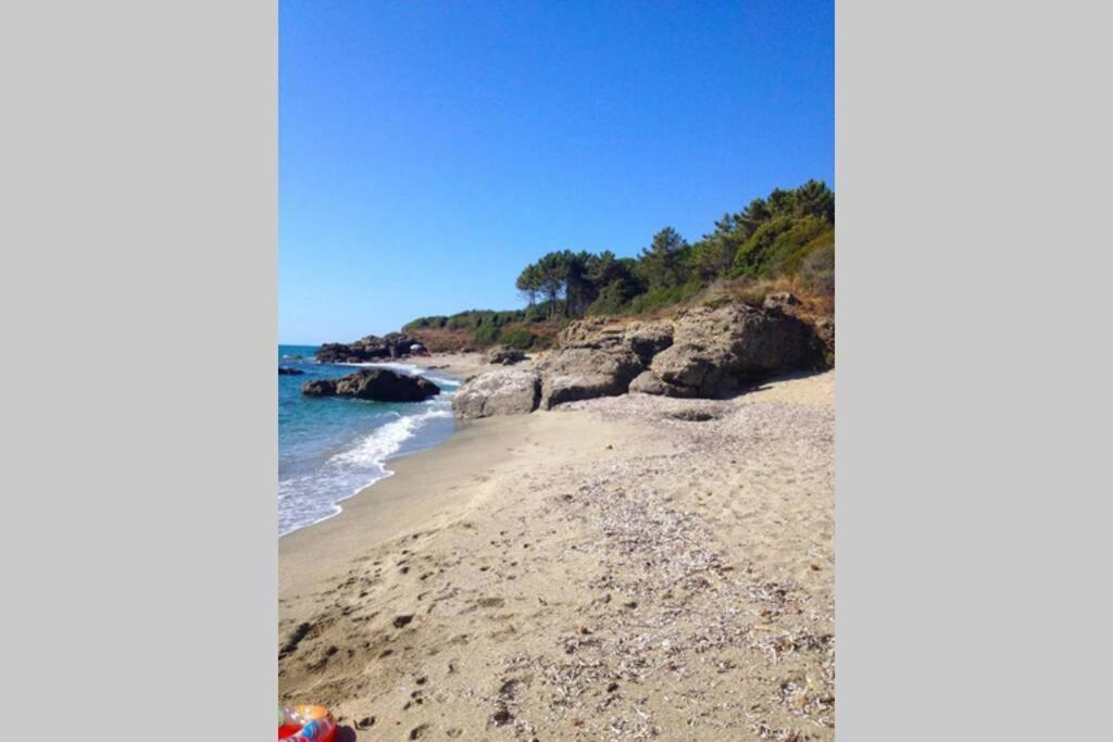 Marine De Bravone T2 Terrasse Front De Mer - Plage Pieds Dans L'Eau - Clim - Piscine - Wifi Linguizzetta Dış mekan fotoğraf