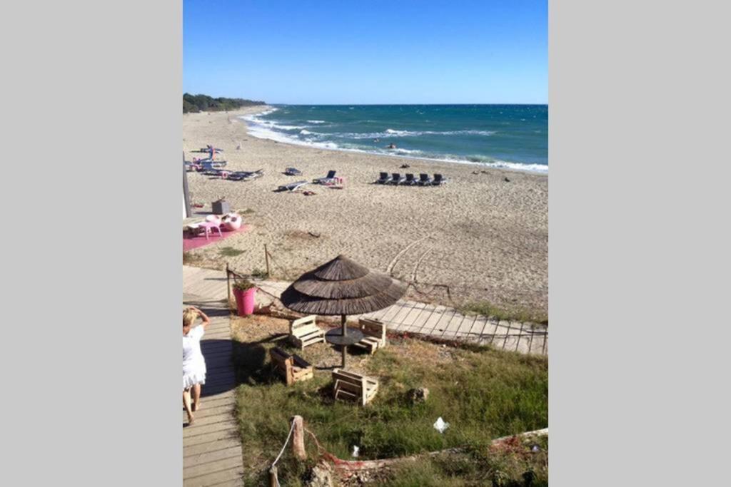 Marine De Bravone T2 Terrasse Front De Mer - Plage Pieds Dans L'Eau - Clim - Piscine - Wifi Linguizzetta Dış mekan fotoğraf