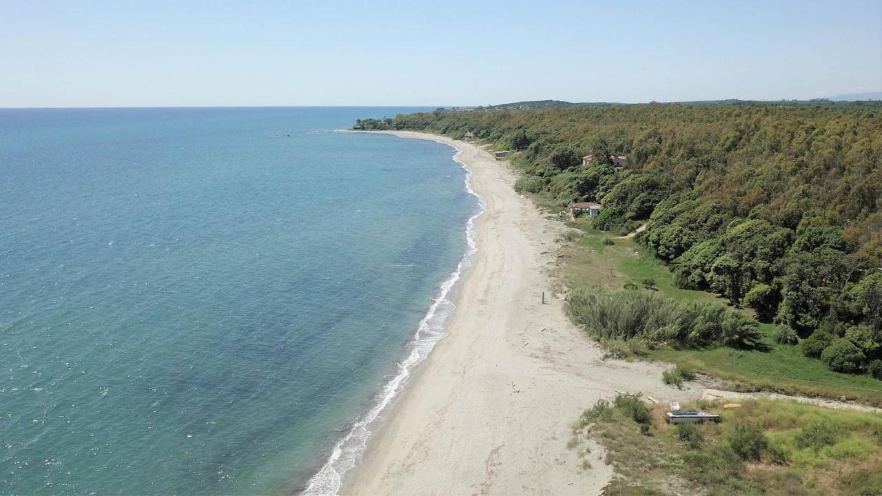 Marine De Bravone T2 Terrasse Front De Mer - Plage Pieds Dans L'Eau - Clim - Piscine - Wifi Linguizzetta Dış mekan fotoğraf