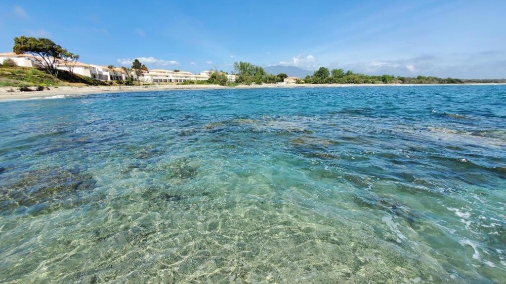 Marine De Bravone T2 Terrasse Front De Mer - Plage Pieds Dans L'Eau - Clim - Piscine - Wifi Linguizzetta Dış mekan fotoğraf